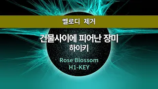 [MR노래방ㆍ멜로디 제거] 건물 사이에 피어난 장미 - 하이키 ㆍRose Blossom - H1-KEY ㆍMR Karaoke
