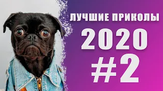 САМЫЕ ЛУЧШИЕ ПРИКОЛЫ 2020 НОЯБРЬ 2020 #2