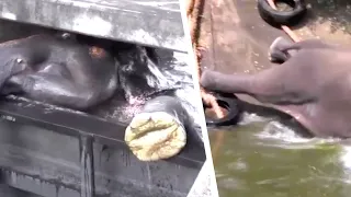 Die Männer sehen etwas Ungewöhnliches im Kanal. Dann kommt ihnen ein genialer Gedanke