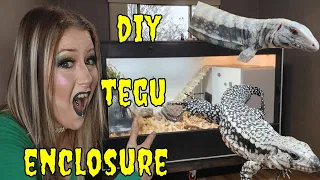 Ultimate DIY Tegu Enclosure