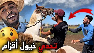 درنا سباق بالخيول الأقزام 😱.. نهاية غير متوقعة 😂