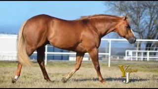 2017 Stallion Promotional Video