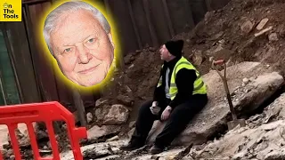 The Return of Attenborough On Site 👨🏻‍🦳 😂