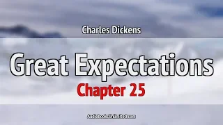 Great Expectations Audiobook Chapter 25