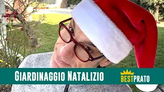 10 CONSIGLI NATALIZI DI GIARDINAGGIO