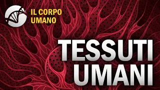 Tessuti Umani - Il Corpo Umano | Estratto