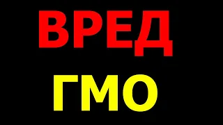 Действительно ли опасны продукты с ГМО? Что будет с вами, если употреблять гмо продукты постоянно?