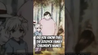 Did You Know That The Zoldyck Family...