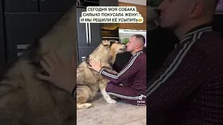 собака 🐶🐕 моя сильно покусала жену и мы решили её усыпить 😣😖😣🙀