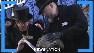 Punxsutawney Phil predicts early spring for Groundhog Day 2024 | Morning in America