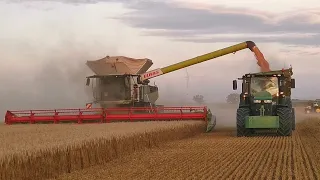 BIG HARVEST IN POLAND 2023 🇵🇱 - 8× Claas Lexion | 4× John Deere | Kombinat Rolny Kietrz - Żniwa 2023