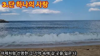 🌹유해준 노래 10곡 모음(전곡 가사첨부)🍃🍃