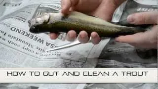 How To Gut And Clean A Trout EASILY!!!!!!