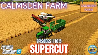 CALMSDEN FARM SUPERCUT - Laid Back Series - Farming Simulator 22