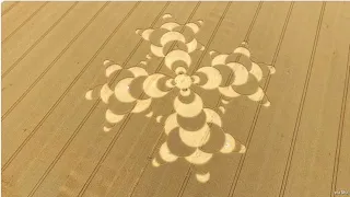 Crop Circle