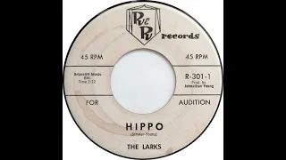 The Larks - Hippo. 1963 Rock & Roll Instrumental