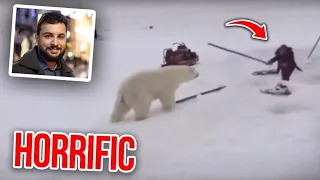 If You're Scared Of Polar Bears Don't Watch This !