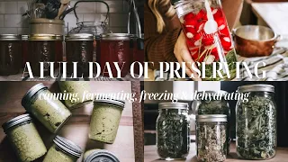 A Full Day of Preservation | Preserving the Harvest | Stocking the Homestead Pantry