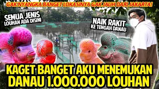 KAGET BANGET AKU MENEMUKA DANAU SEJUTA LOUHAN GAK JAUH DARI JAKARTA! SEMUA JENIS LOUHAN ADA DISINI!