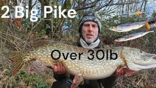 Pike Fishing 2 Very Big Pike 30lb Plus