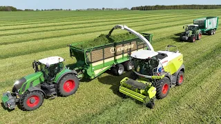 Grasernte - Claas Häcksler Einsatz Traktor Fendt, John Deere fahren Gülle, grubbern, pflügen zu Mais