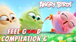 Angry Birds | Feel Good Compilation 6