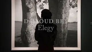 Dawoud Bey: Elegy | The Visitor Experience