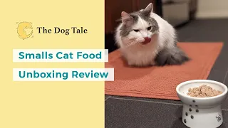 Smalls Cat Food Unboxing Video: Is This the Best Fresh Cat Food?