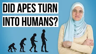 Did Apes Turn Into Humans?