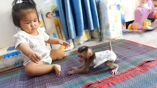 Wow Very Cute & Lovely When Pruno Learn To Walk To Play With Tevy