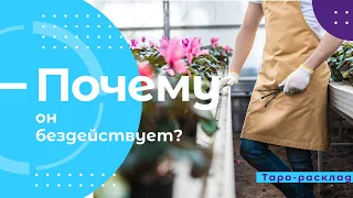 Почему он ничего не делает? | Аналитик Таро | Таро-онлайн |  Таро сегодня