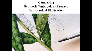 Comparing Synthetic Watercolour Brushes