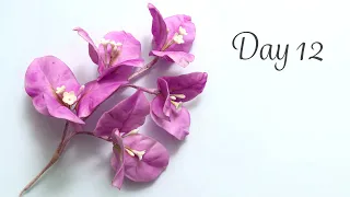 Bougainvillea | Day 12 | 30 Days of Sugar Flowers