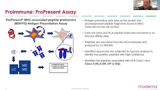 Mike Zimmer: Engineering a less immunogenic bacterial protease for treatment of IgA Nephropathy