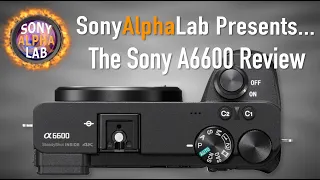 Sony A6600 Review - Real World, Lab, and How-To Use