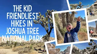 The Kid Friendliest Hikes in Joshua Tree National Park