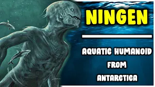 NINGEN : The Aquatic Humanoid From Antarctica (Japanese Folklore)