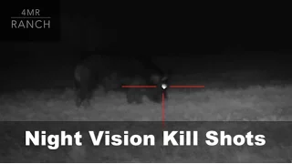 First Hunt with the ATN X- Sight II HD (KILL SHOTS)