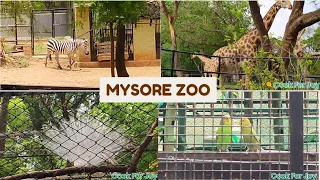 Mysore Zoo animals video | Zoological garden | Best tourist place in Karnataka | Indian tourism