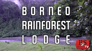 S2 E8: EVERYTHING in the rainforest is SUPERSIZED! Borneo Rainforest Lodge, Malaysia Travel Guide