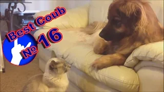 Best Coubs of march 2016(№16)Лучшие в COUB за март