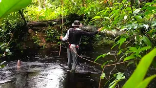 Jungle Creek Fishing (Rainy weather, Camping, Hunting and Cooking)