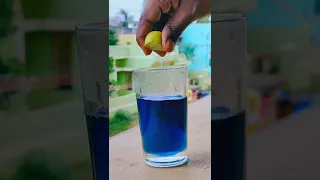 BLUE TEA RECIPE  #bluepea #butterflypea #bluetea #tamil  #peace #kollywood #happybeats2022