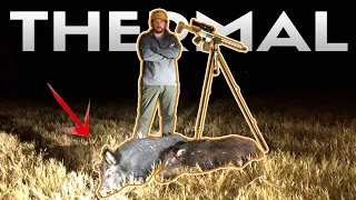 FERAL HOG HUNTING with THERMAL Night Vision in TEXAS | Jeremy's first Thermal Hunt