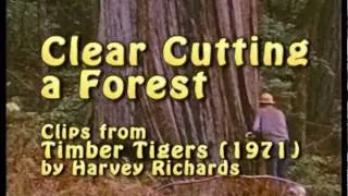 Clear Cutting a Forest