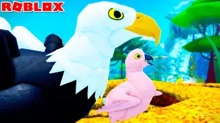 VIDA DE ÁGUIA Filhote! PAPAI MALUCO e AS CORUJAS! | ROBLOX Feather Family