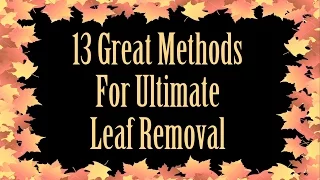 13 Great Methods For Ultimate Leaf Removal