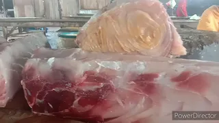 Pasar Ikan Biak _ Skill Memotong Ikan Marlin