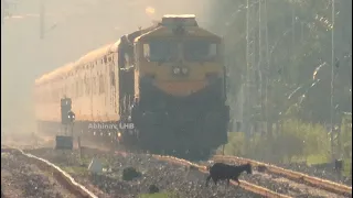 LIVE ACCIDENT - Goat killed by TRAIN ? Seconds From Disaster !