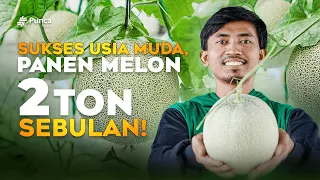 Pengusaha Muda Sukses Budidaya Melon Rakit Apung, Dalam Sebulan Hasilkan 2 Ton Melon!